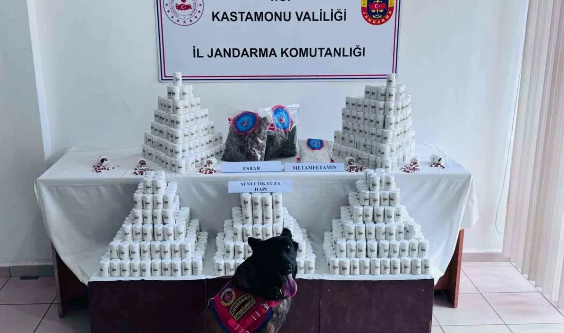 Kastamonu’da gerçekleştirilen operasyonda 69 bin 407 adet sentetik ecza hapı,