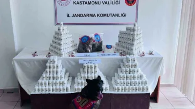 Kastamonu’da gerçekleştirilen operasyonda 69 bin 407 adet sentetik ecza hapı,