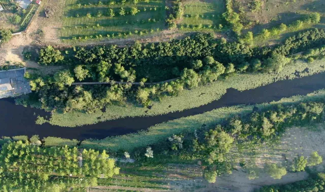 Sakarya Büyükşehir Belediyesi’nin çevre düzenlemeleriyle doğal kimliği güçlenen İl Ormanı