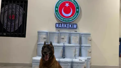 Ticaret Bakanlığı, Gümrükler Muhafaza ekiplerinin gerçekleştirdiği operasyonlar sonucunda 1 milyar