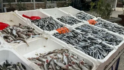 Zonguldaklı balıkçı esnafı Oktay Ertürk, balık sezonunun gidişatını ve fiyatlardaki