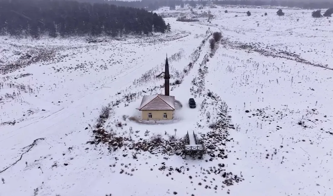 Bolu’da etkili olan kar yağışı, Aladağ bölgesindeki çam ormanlarında kartpostallık
