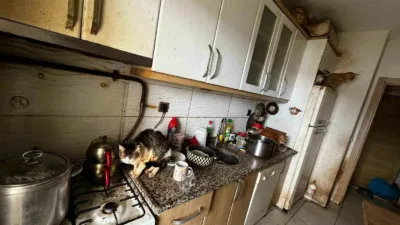 Kocaeli’nin Kandıra ilçesinde bir evde çok sayıda kedi ve köpeğin