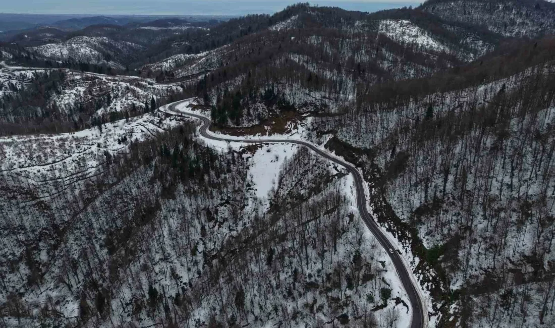 Sakarya’nın Kocaali ve Hendek ilçeleri arasında kalan ve karla kaplanan