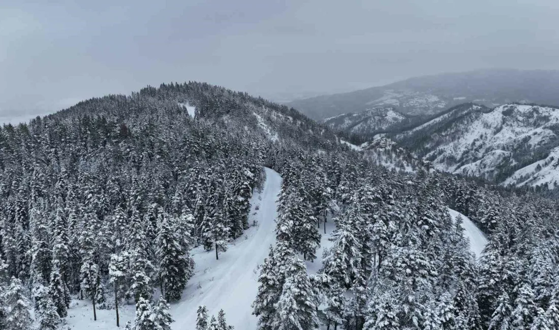 Kastamonu’nun İhsangazi ilçesinde karla kaplanan ormanlar ziyaretçilerini mest ediyor. Kastamonu’da
