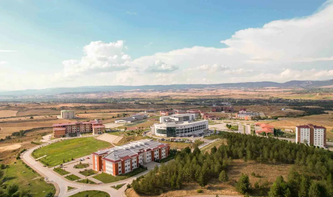 Kastamonu Üniversitesi tarafından hazırlanan Grafen Oksit Modifiyeli Kompozit Yapılar Projesi,