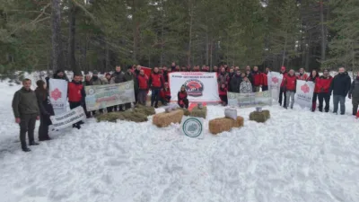 Kastamonu’da karla kaplanan doğada yiyecek yiyecek bulmakta güçlük çeken yaban