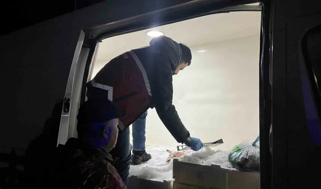 Kastamonu’nun Çatalzeytin ilçesinde usulsüz avlanan ve yasal boyutlarının altında olan