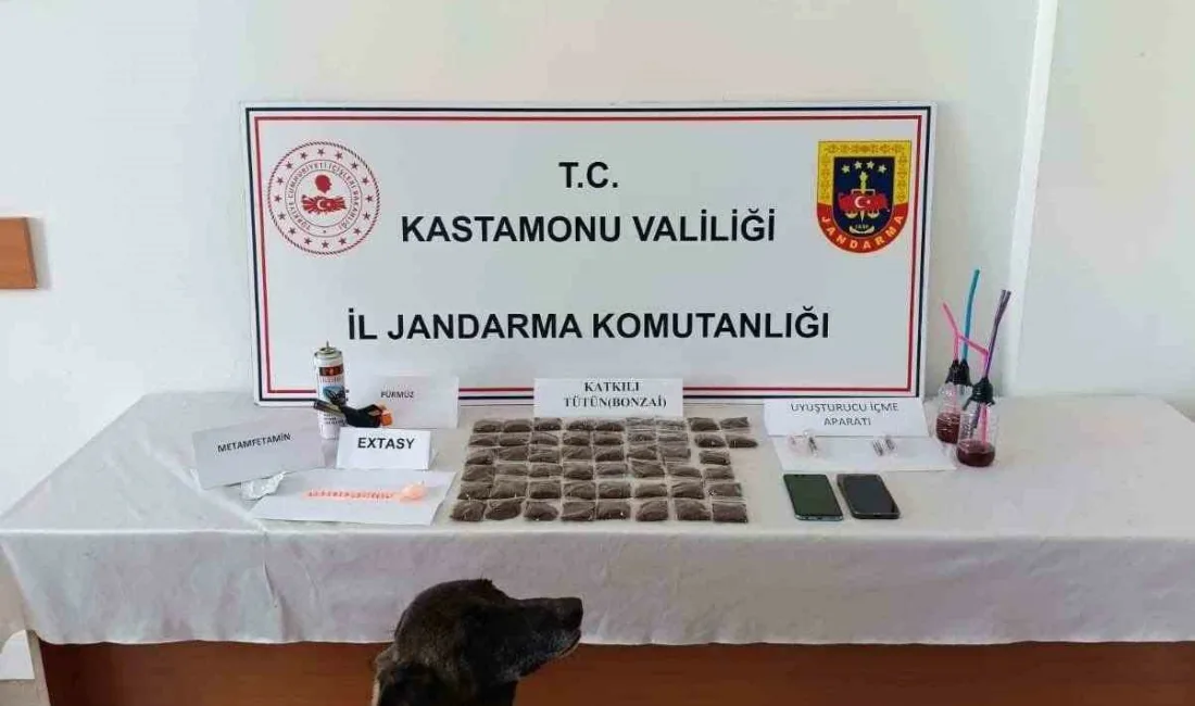 Kastamonu’da jandarma ekipleri tarafından düzenlenen uyuşturucu operasyonunda gözaltına alınan şüpheli