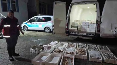 Kastamonu’nun Çatalzeytin ilçesinde yasa dışı avlanan 1,5 ton balığa el