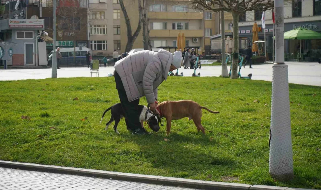 Sakarya’da ocak ayının son günlerinde mevsim normallerinin üzerinde seyreden hava