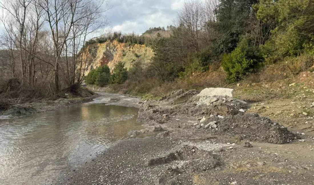 Zonguldak’ın Ereğli ilçesine bağlı Kıyıcak Mahallesi Kavaklıdere Sokak’ta yaşayan vatandaşlar,