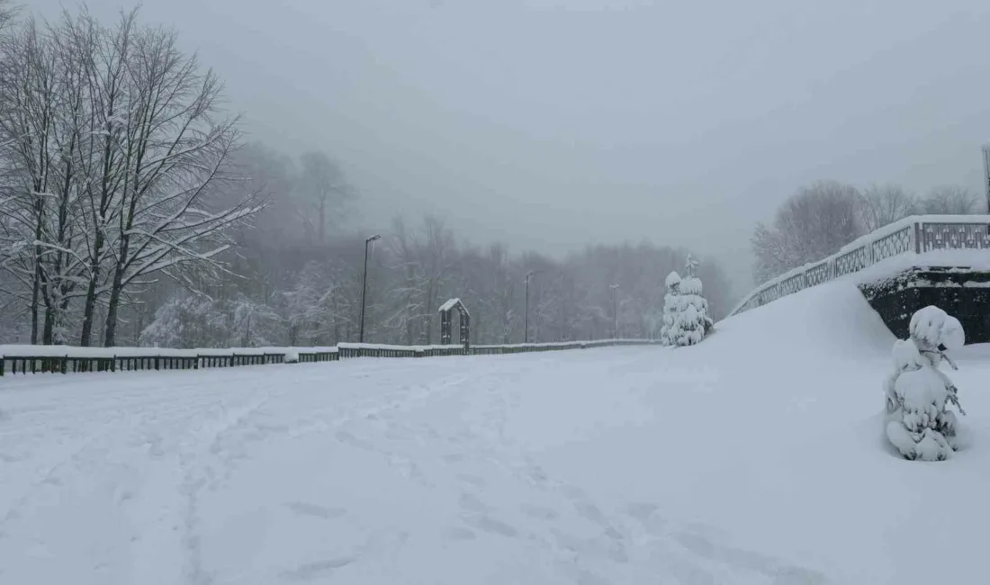 Meteorolojinin uyarılarının ardından Kocaeli’nin yüksek kesimlerinde kar yağışı etkili oluyor.