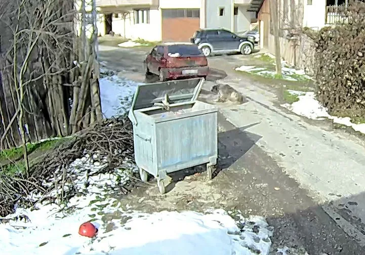 Bolu’da yol ortasında uyuyan sokak köpeğinin üzerinden aracıyla geçerek arka