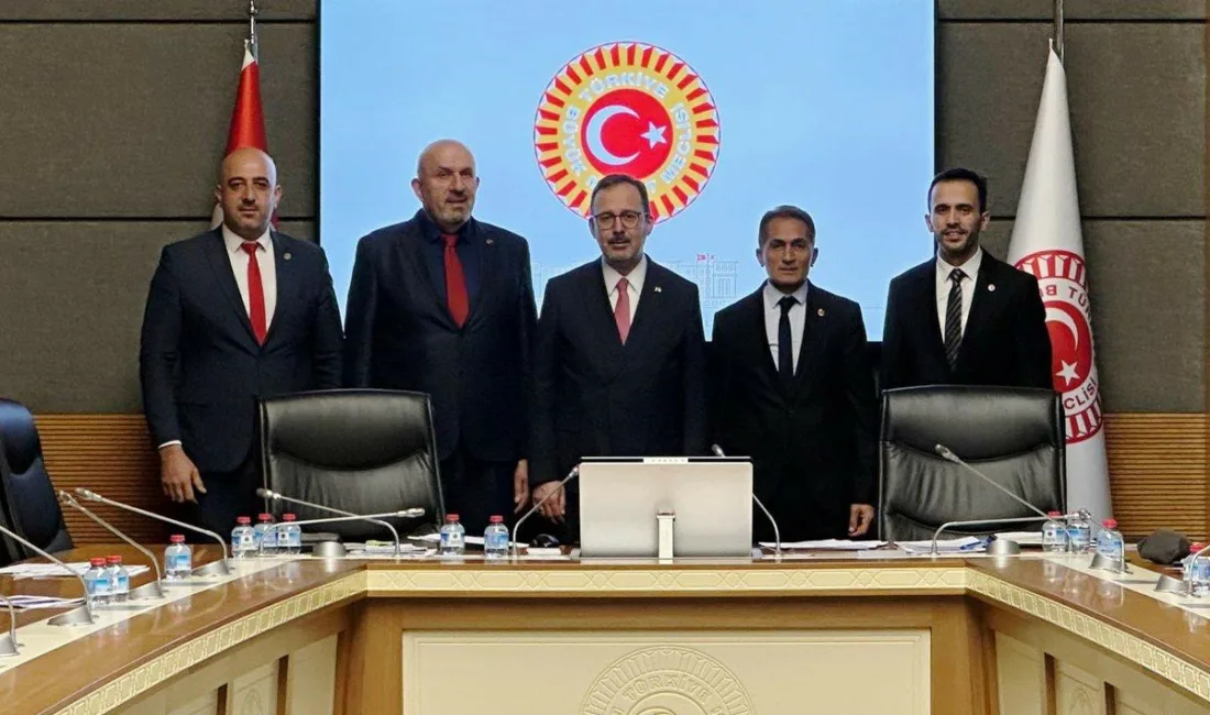 Türkiye Büyük Millet Meclisi (TBMM) Engelli Bireylerin Sorunlarını Araştırma Komisyonu
