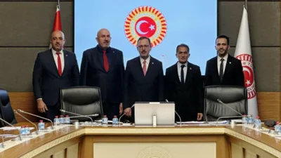 Türkiye Büyük Millet Meclisi (TBMM) Engelli Bireylerin Sorunlarını Araştırma Komisyonu