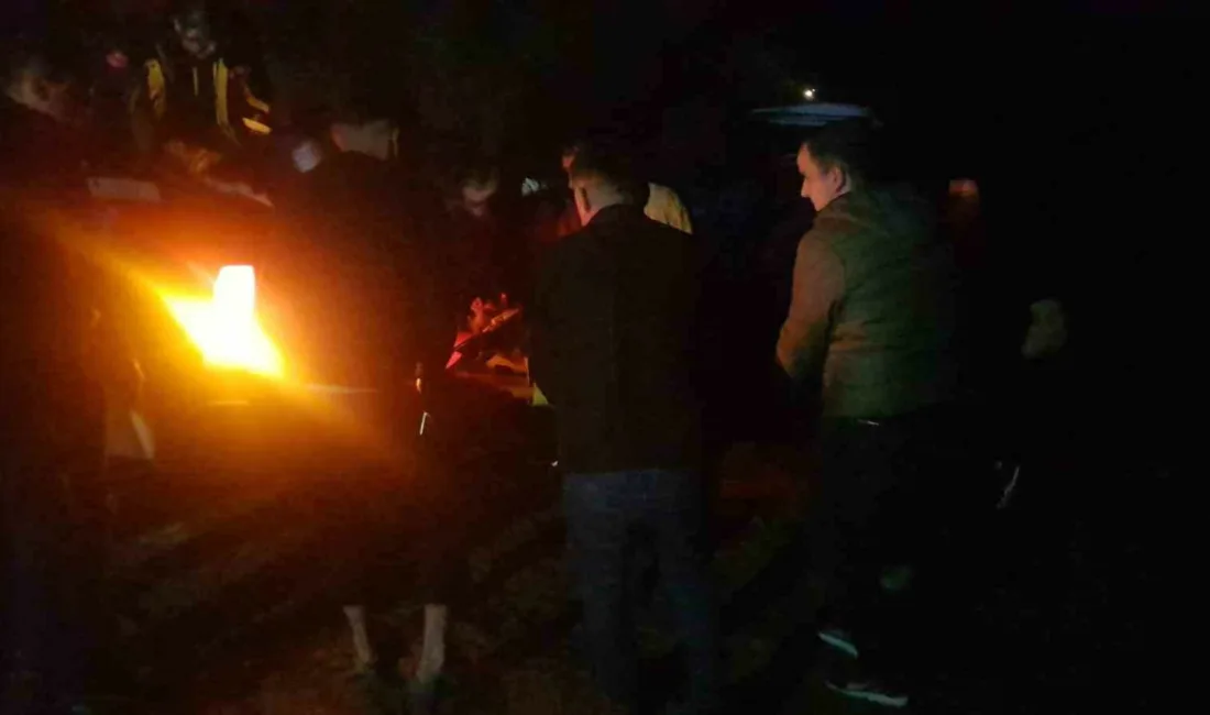 Sakarya’nın Taraklı ilçesinde orman yangınlarında zarar gören ağaçları taşıyan tırın