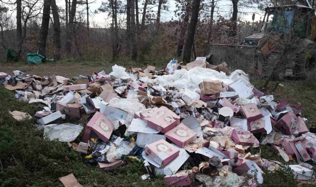 Düzce Belediyesi Temizlik İşleri Müdürlüğü, Bahçeşehir bölgesinde bulunan Kent Ormanının