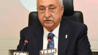 Türkiye Esnaf ve Sanatkarları Konfederasyonu (TESK) Genel Başkanı Bendevi Palandöken,