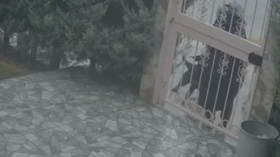 Ankara’da sahipsiz köpeklerin saldırısına uğrayan kadına yardım eden Nurten Güven,