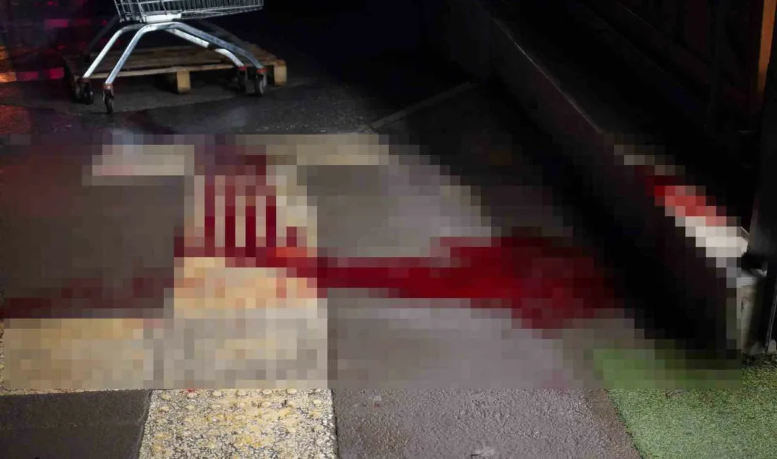 Sakarya’nın Adapazarı ilçesinde çıkan kavgada bir kişi kesici aletle göğsünden