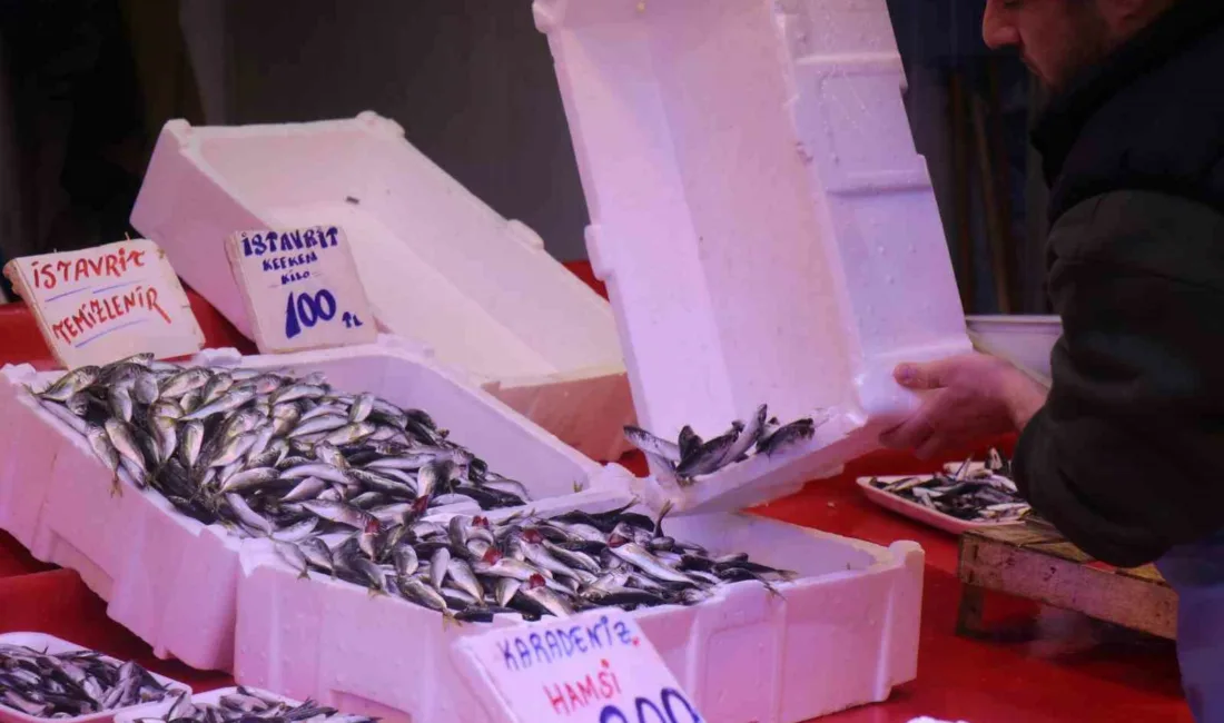 Hava sıcaklıklarının mevsim normallerinin üzerinde seyretmesi ve aşırı avlanma neticesinde