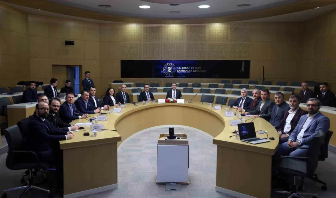 Enerji ve Tabii Kaynaklar Bakanlığı tarafından düzenlenen YEKA GES-2025 yarışmaları