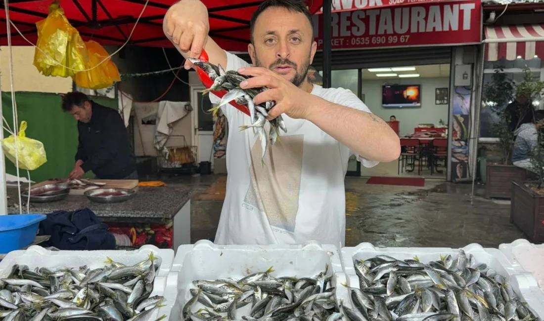 Zonguldak’ta balık tezgahlarında hareketlilik sürerken, vatandaşın en çok tercih ettiği