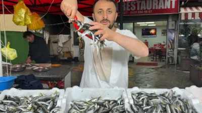 Zonguldak’ta balık tezgahlarında hareketlilik sürerken, vatandaşın en çok tercih ettiği