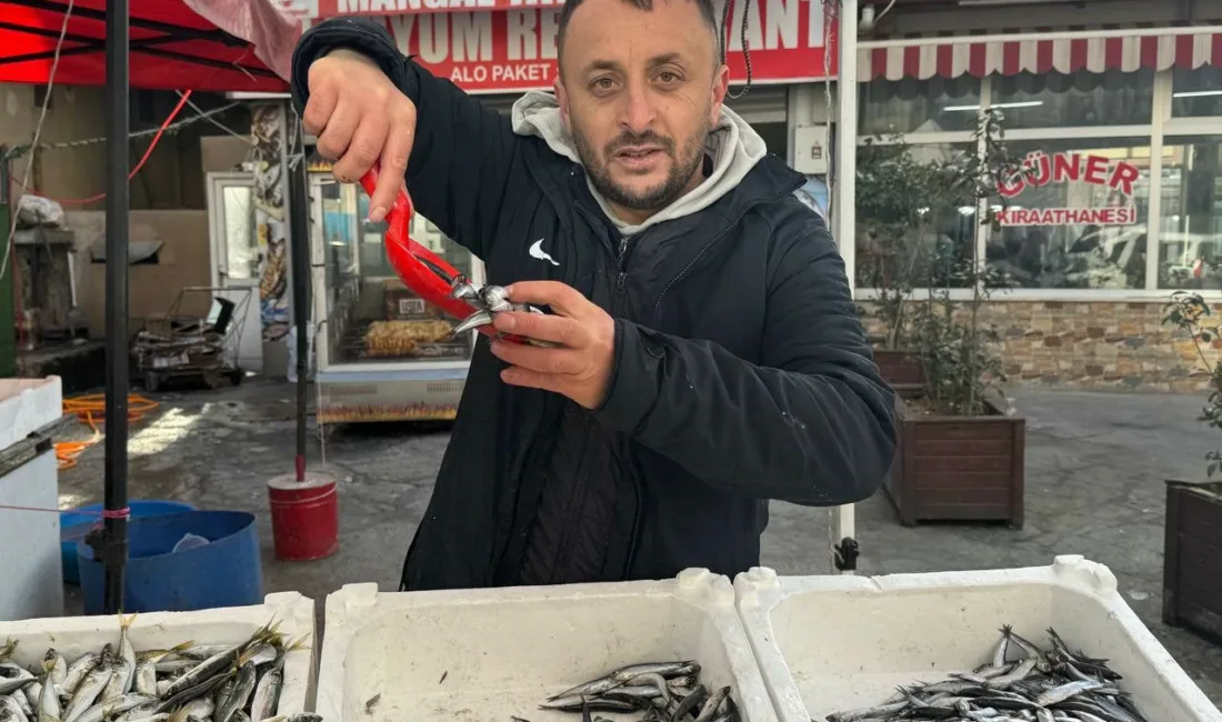 Zonguldak’ta denizlerde avlanan balık miktarının azalması tezgah fiyatlarına yansıdı. Hamsi