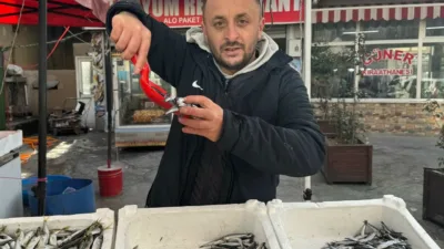 Zonguldak’ta denizlerde avlanan balık miktarının azalması tezgah fiyatlarına yansıdı. Hamsi