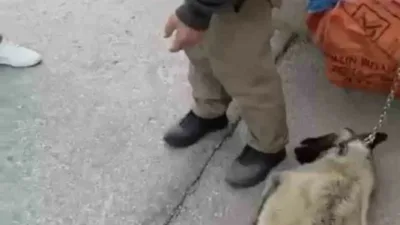 Ankara’da kamyonetin arkasına bağlanarak sürüklenen köpek çevredeki vatandaşlar tarafından kurtarılırken,