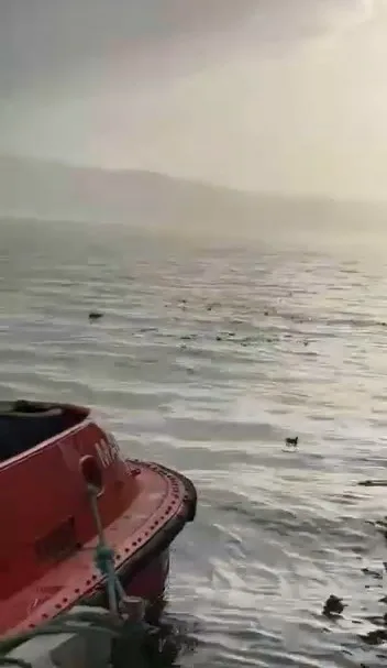 Kocaeli’nin Körfez ilçesinde bulunan DP World Evyap limanı adeta şehir
