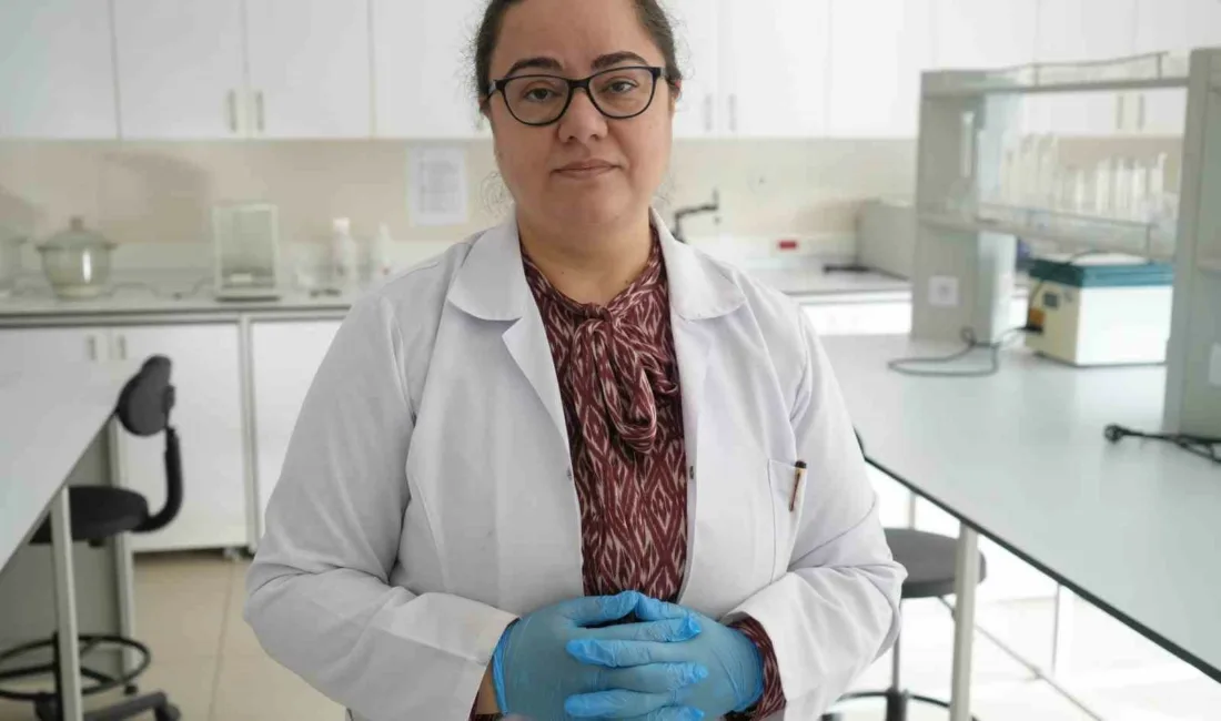 Kastamonu Üniversitesi Sağlık Bilimleri Fakültesi Beslenme ve Diyetetik Bölümü öğretim