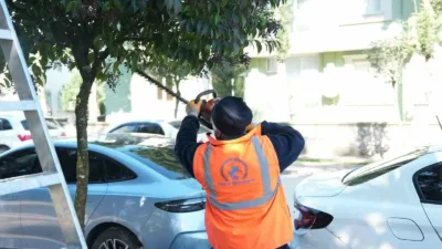 DÜZCE (İHA) – Düzce Belediyesi Park ve Bahçeler Müdürlüğü ekipleri,