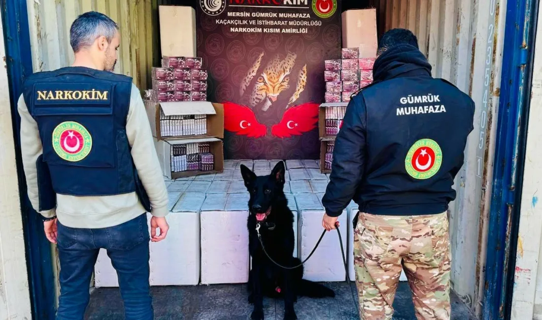 Ticaret Bakanlığı Gümrükler Muhafaza Kaçakçılık ve İstihbarat birimlerince gerçekleştirilen 3