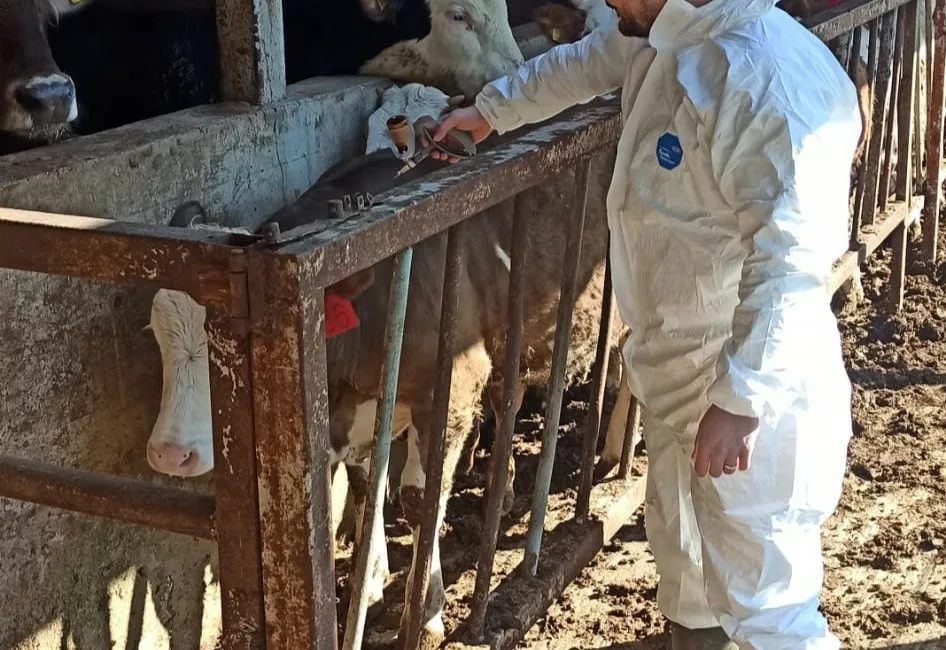 Düzce’de hayvan sağlığının korunması, bulaşıcı hastalıkların önlenmesi ve hayvansal üretimde