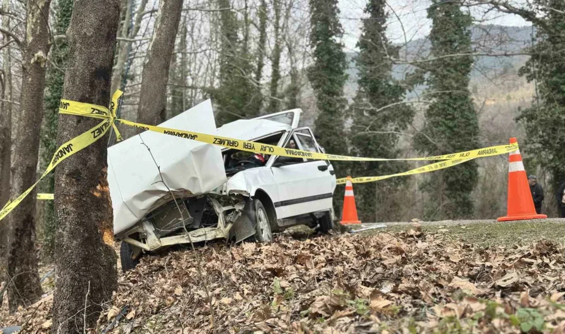 Karabük’ün Safranbolu ilçesinde kontrolden çıkan otomobilin ağaca çarpması sonucu 1