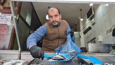 Düzce’de sezon başında bolca avlanan hamsinin azalmasıyla tezgahların yeni gözdesi