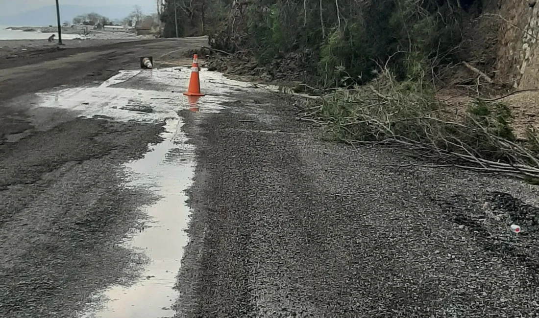 Kastamonu’nun Çatalzeytin ilçesinde meydana gelen heyelanda yamaçtan kopan toprak ve