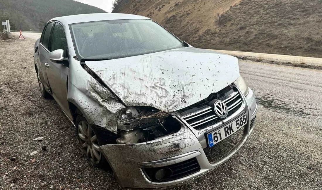 Kastamonu’da kayak merkezine gitmek isteyen ailenin bulunduğu otomobil kontrolden çıkarak