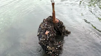 Kocaeli’de Körfez Tütünçiftlik sahilinde gerçekleştirilen dalışta deniz dibinden 50 araç