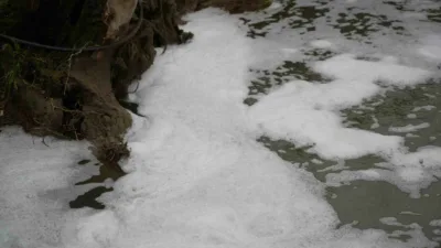Kocaeli’nin Gebze ilçesinden geçen Kocagöl Deresi’nde meydana gelen köpüklenme ve