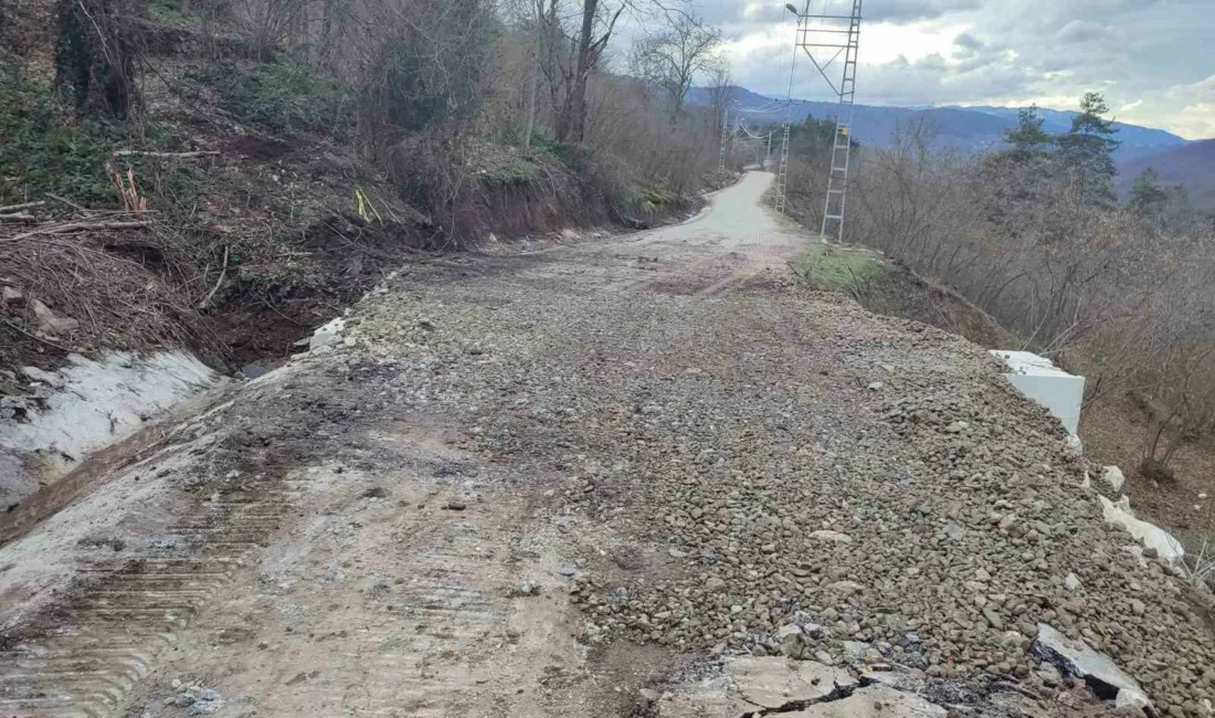 DÜZCE (İHA) – Düzce İl Özel İdaresi Yol ve Ulaşım