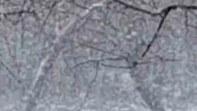 Bolu’nun Mudurnu ilçesinde lapa lapa kar yağışı etkili oldu. Bölgede