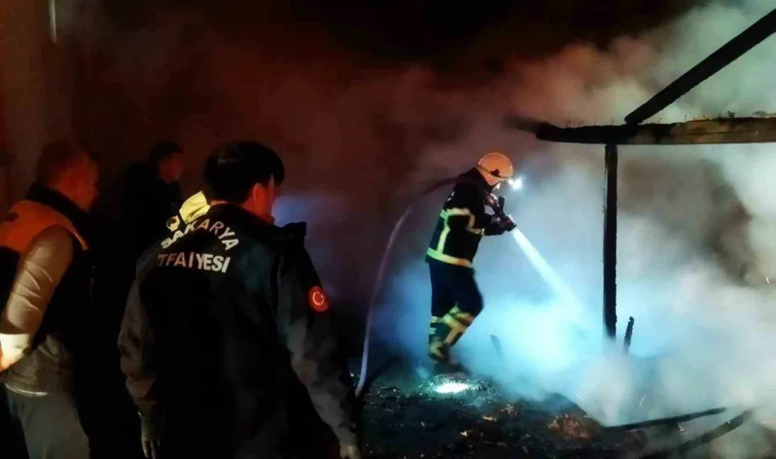 Sakarya’nın Ferizli ilçesinde gece saatlerinde odunluk olarak kullanılan eski bir