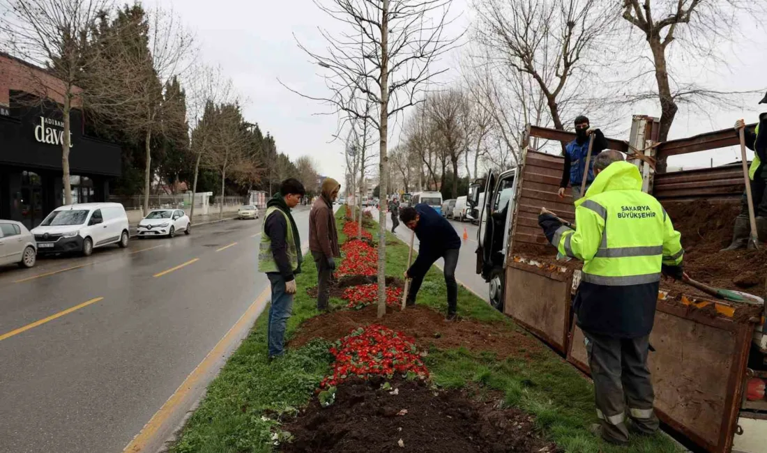 Sakarya Büyükşehir Belediyesi, son 3 ay içerisinde şehrin çeşitli noktalarındaki