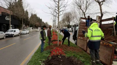 Sakarya Büyükşehir Belediyesi, son 3 ay içerisinde şehrin çeşitli noktalarındaki