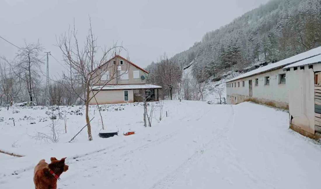 Sakarya’da şehir merkezinde etkili olan soğuk hava ve yağmur, yüksek