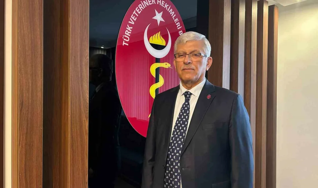 Türk Veteriner Hekimleri Birliği (TVHB) Başkanı Ali Eroğlu, “Elim felakette